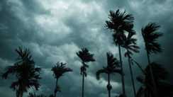 Weather Forecast 29 May