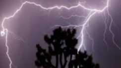 patna maner lightning strike one dead cattle killed