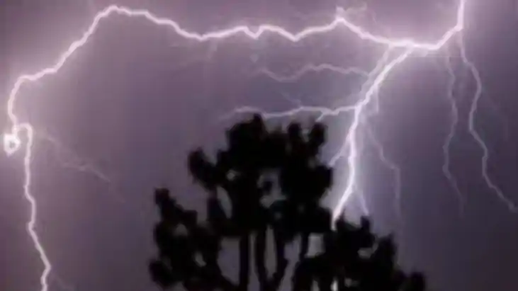 patna maner lightning strike one dead cattle killed