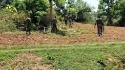 सारंडा के जंगल में IED विस्फोट, पत्ता तोड़ने गईं महिलाएं चपेट में आईं, एक युवती की मौत