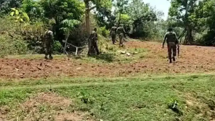 सारंडा के जंगल में IED विस्फोट, पत्ता तोड़ने गईं महिलाएं चपे