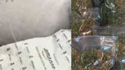 'अमेजन' स्टाइल में गांजे की सप्लाई! ऑनलाइन पेमेंट 45 मिनट में घर पर डिलिवरी