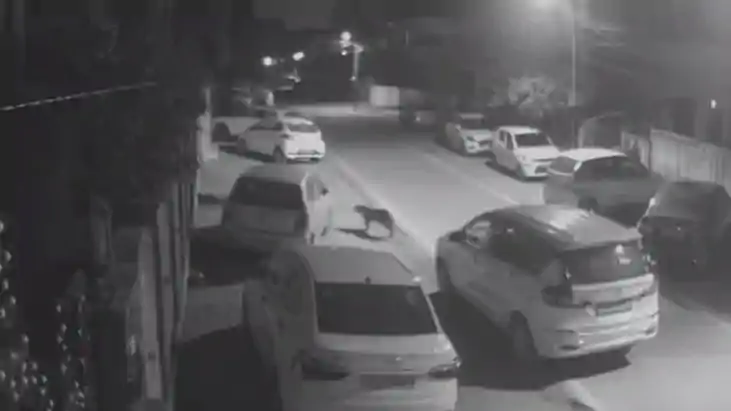 रात में सड़क को गाड़ी पार्क करने का गैराज समझने की भूल करना 