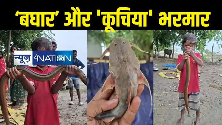 Bihar Flood News : बिहार में विलुप्तप्राय मछलियों की भरमार, 