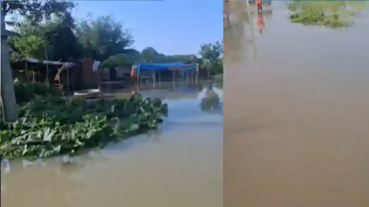 Did Negligence Cause Motihari Ring Embankment Breach?