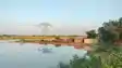 Bihar Flood:  गंडक के बढ़ते जलस्तर से सारण में तटबंधों की निगरानी बढ़ी, सात प्रखंडों में अलर्ट जारी