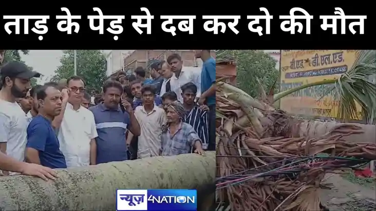 नालंदा में बाइक सवार के ऊपर गिरा ताड़ का पेड़,  दबकर गई दो ल