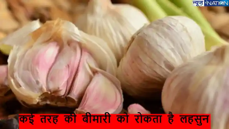 घर के किचन में रखी ये चीजे, आपको दे सकती है लंबी उम्र का वरद