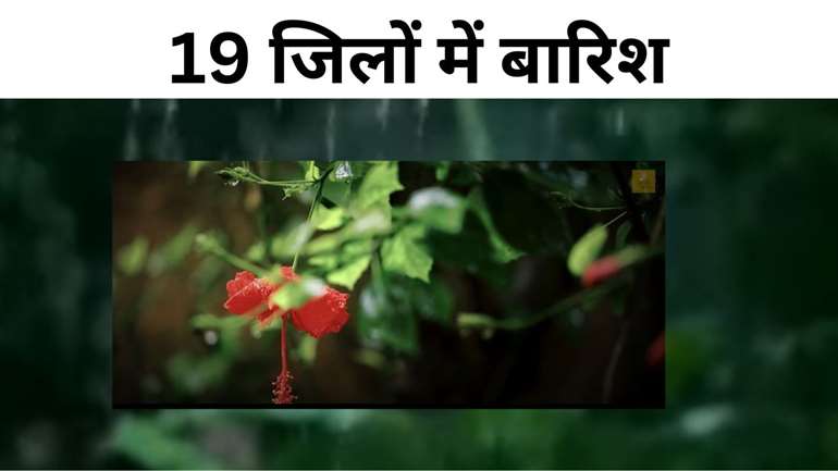 बिहार से रूठा मॉनसून, 19 जिलों में हल्की बारिश की संभावना, जानिए अगले 5 दिनों में किन जिलों में होगी बारिश