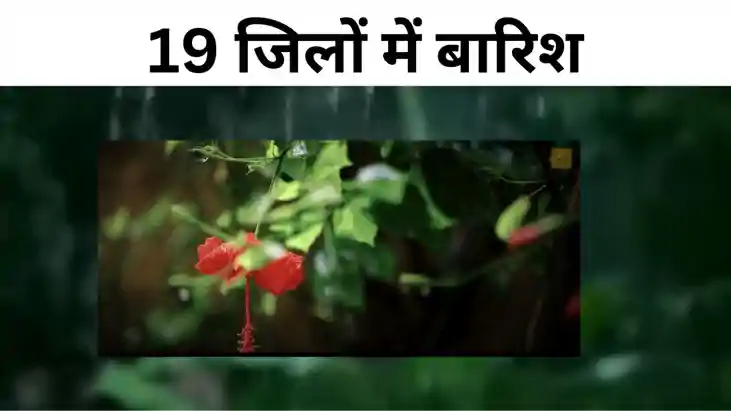 बिहार से रूठा मॉनसून, 19 जिलों में हल्की बारिश की संभावना, ज