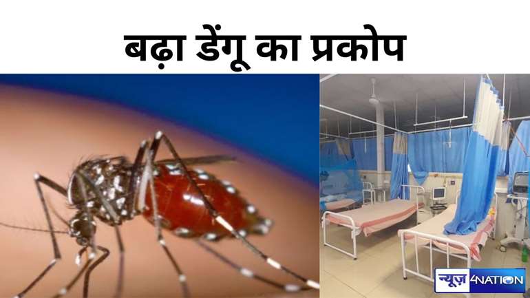 बिहार में डेंगू से दहशत, कई जिलों में डेंगू तेजी से पसार रहा पांव, पटना बना हॉट स्पॉट