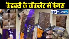 कैडबरी के चॉकलेट खाते हैं तो हो जाएं सावधान, डेयरी मिल्क पर मिला फंगस, यूजर्स की शिकायत पर जानिए कंपनी ने क्या कहा 