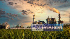 Sugar Mills