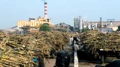 Bihar News : बिहार में निजी कंपनिया भी चला सकेगी चीनी मिलें, कानून में संशोधन करेगी सरकार, प्रस्ताव को कैबिनेट से मिली मंजूरी 