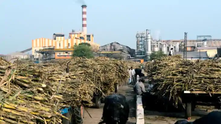 Bihar News : बिहार में निजी कंपनिया भी चला सकेगी चीनी मिलें,