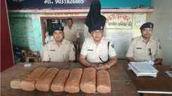 नशीले पदार्थों के खिलाफ चलाए जा रहे विशेष अभियान में पुलिस को बड़ी कामयाबी, 12 किलो से अधिक गांजा के साथ तस्कर गिरफ्तार
