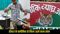 Bihar Flying Snake