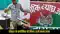 Bihar Flying Snake