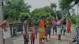 Bihar News: भेड़िए का आतंक,  तीन दिन में दर्जनभर हमले, घायल ग्रामीण और मवेशी, दहशत में गांव