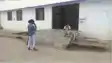 किराए के मकान में फंदे से झूलता मिला शिक्षिका का शव, इलाके में मचा हड़कंप