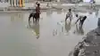 Bihar News : कैमूर में सर्विस रोड पर जलजमाव से फूटा दुकानदारों का गुस्सा, पानी में की धान की रोपनी