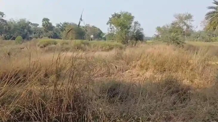 Muzaffarpur Govt Land Ponds Schools Sold in Amrit Sarovar Sc