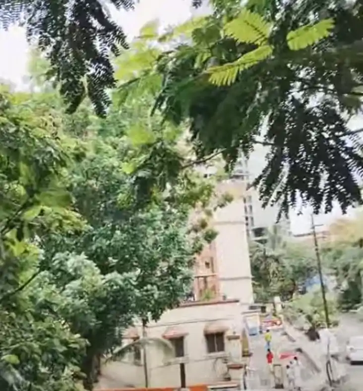 बिहार में सावन का महीना सूखा, जुलाई में भी पस्त हो रहा मानसू