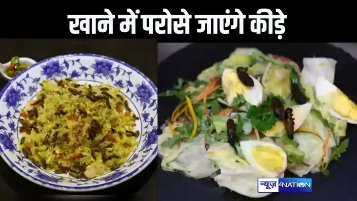 खाने में परोसे जाएंगे 16 प्रकार के कीड़ों से तैयार 30 डिशेज,