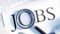 Bihar Job Camp