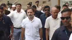 Bihar Politics -  राहुल गांधी फिर आंएगे बिहार, जगह भी हुआ तय, पार्टी ने शुरू की तैयारी