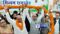 Dhirendra Kumar