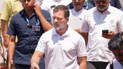 Rahul Gandhi news -  प्रधानमंत्री मोदी के बाद अब राहुल गांधी बिहार में इस तारीख को करेंगे बड़ी जनसभा, जानें राजद शामिल होगा या नहीं