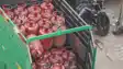  LPG Rate Today