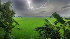 Weather Forecast