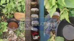 Bihar police liquor ban operations