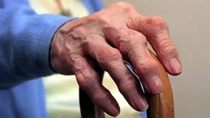 वरिष्ठ नागरिक 