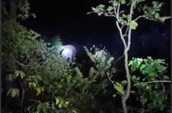 जंगली हाथियों के झुंड ने फसलें नष्ट की, ग्रामीणों ने वन विभाग के साथ मिलकर भगाया