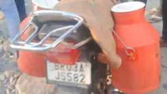 Bihar Road Accident: तेज रफ्तार का शिकंजा, बगवां क्रॉसिंग पर बाइक सवार युवक की मौत, हादसों से सहमा इलाका