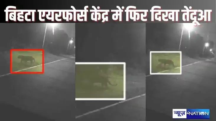 PATNA NEWS - पटना के बिहटा एयरफोर्स सेंटर परिसर में फिर दिखा PATNA NEWS - पटना के बिहटा एयरफोर्स सेंटर परिसर में फिर दिखा