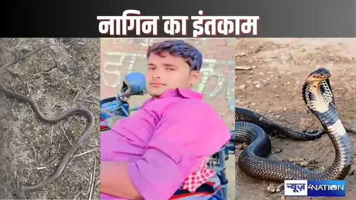 naagin revange - खेत में युवक ने नाग के फन को कुचला, एक घंटे naagin revange - खेत में युवक ने नाग के फन को कुचला, एक घंटे