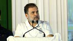 Bihar Election 2025 : बीजेपी की रिमोट से चल रही नीतीश सरकार, नालंदा में राहुल गाँधी ने जमकर साधा निशाना 