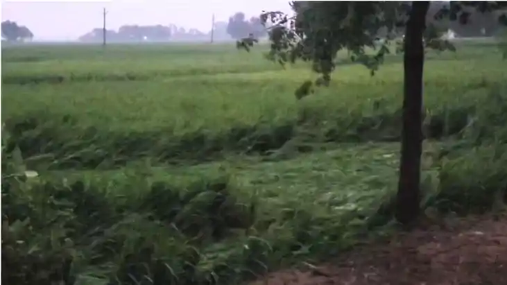 औरंगाबाद में ‘अरनव तूफान’ का कहर: 48 घंटे की लगातार बारिश से
