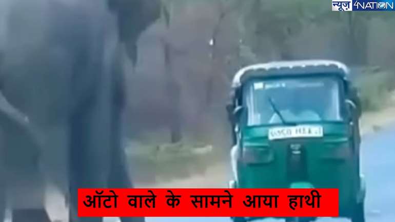 Elephant Viral Video: ऑटो वाले को हाथी का रास्ता रोकना पड़ा भारी, वायरल वीडियो देख हो जाएंगे हैरान, गिरते-पड़ते बचाई जान