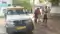 Nawada Road Horror
