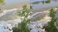 Gandak Fury Embankments Breach 