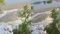 Gandak Fury Embankments Breach 
