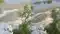 Gandak Fury Embankments Breach 