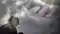 Gaya Video Case