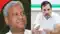 Bihar News : इंडिया ब्लॉक पर मंत्री डॉ. संतोष कुमार सुमन ने कसा तंज, कहा साथी छूटे, गठबंधन टूटा, फिर भी सत्ता का सपना देख रही कांग्रेस