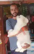 तेज रफ्तार ट्रक ने बाइक सवार युवक को कुचला, मौके पर मौत, रिश्तेदार के घर से लौटने के दौरान हुआ हादसा